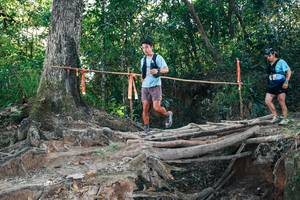 BIB: 
                            <button type="button" onclick="openModal(27303385)" class="btn btn-primary btn-sm float-right btn-popup" data-toggle="modal" data-target=".modal-high-quality">
                        <i class="fas fa-shopping-cart"></i> Add to Cart
                    </button>
                                            <button type="button" onclick="isThisMe(27303385, true)" class="btn btn-success btn-sm float-right btn-popup btn-isme hidden" data-toggle="tooltip" data-placement="bottom" title="นี่คือรูปของคุณใช่ไหม คลิกที่นี่เพื่อเอาเข้าอัลบั้ม">
                        <i class="fas fa-plus"></i> Add to album
                    </button>
                    <button type="button" onclick="isThisMe(27303385, false)" class="btn btn-warning btn-sm float-right btn-popup btn-isnotme hidden">
                        <i class="fas fa-ban"></i> Remove from album
                    </button>